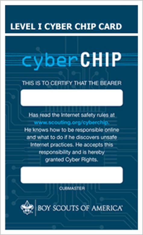 bsa cyber chip blue card download